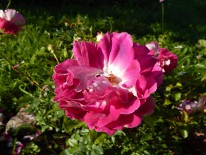 DSCN2970.JPG