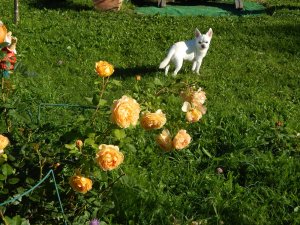 DSCN2973.JPG