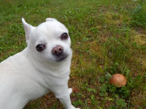 DSCN2977.JPG