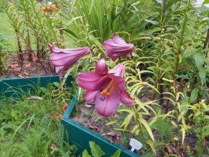 DSCN2978.JPG