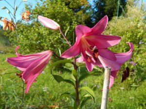 DSCN3058.JPG