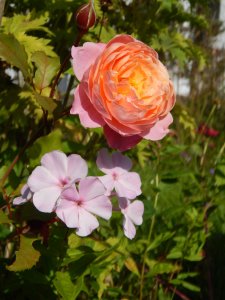DSCN3064.JPG
