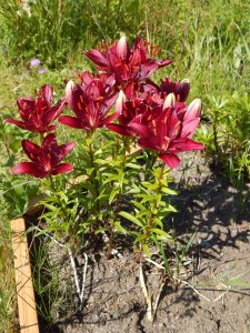 DSCN2228.JPG