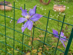 DSCN3007.JPG
