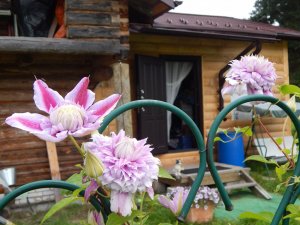 DSCN3009.JPG