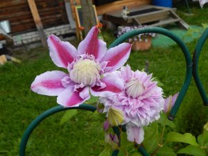 DSCN3010.JPG