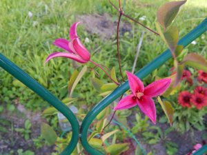 DSCN3069.JPG