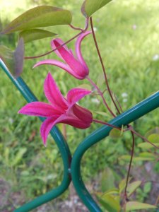 DSCN3070.JPG