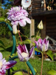 DSCN3081.JPG