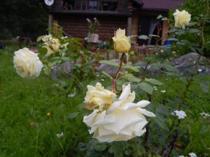 DSCN3005.JPG