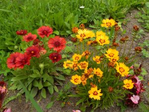 DSCN3006.JPG