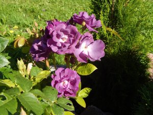 DSCN3078.JPG