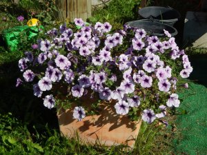 DSCN3082.JPG
