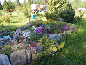 DSCN1311.JPG