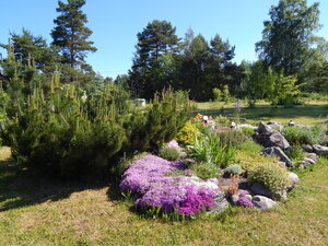 DSCN1572.JPG