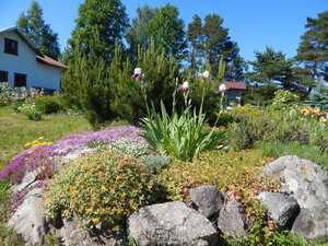 DSCN1666.JPG