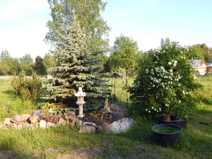 DSCN1364.JPG