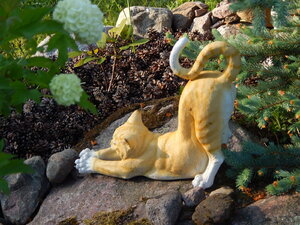 DSCN1398.JPG