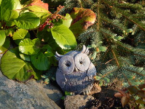 DSCN1403.JPG