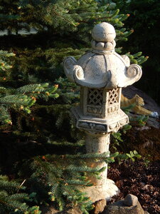 DSCN1404.JPG