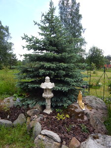 DSCN1537.JPG