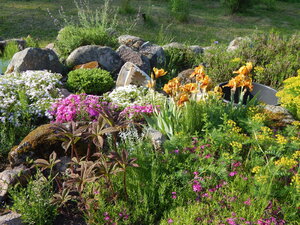 DSCN1504.JPG