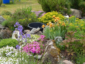 DSCN1535.JPG