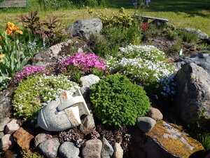 DSCN1575.JPG