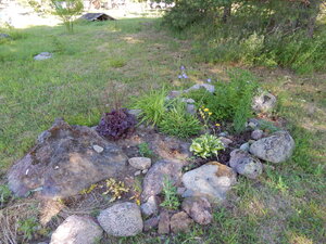 DSCN1868.JPG