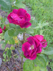 DSCN3095.JPG