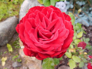DSCN3123.JPG