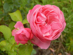 DSCN3127.JPG