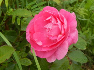 DSCN3153.JPG