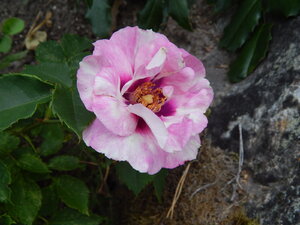 DSCN3222.JPG