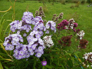 DSCN3130.JPG