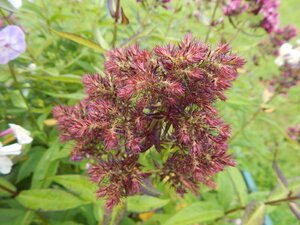 DSCN3131.JPG