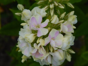 DSCN3134.JPG