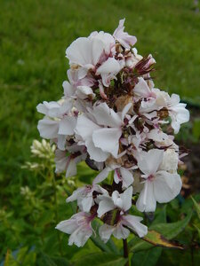 DSCN3136.JPG