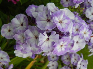 DSCN3140.JPG
