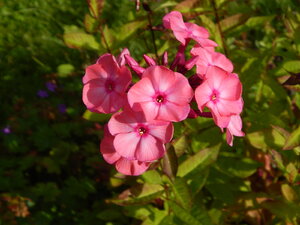DSCN3200.JPG