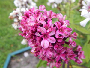DSCN3218.JPG