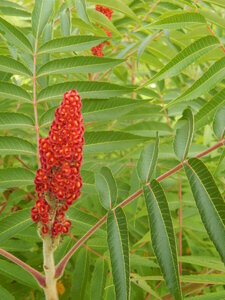 DSCN3180.JPG