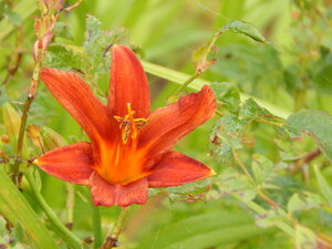 DSCN3117.JPG
