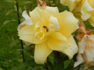 DSCN3141.JPG