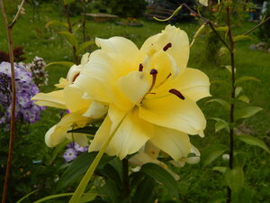 DSCN3217.JPG
