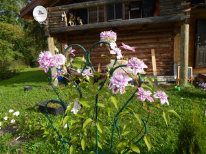 DSCN3191.JPG