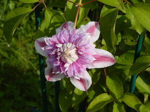 DSCN3192.JPG