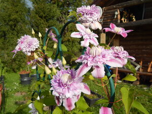 DSCN3194.JPG
