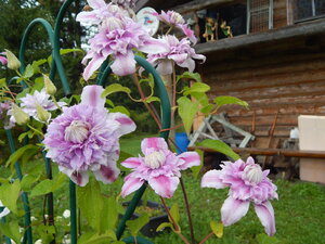 DSCN3231.JPG