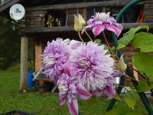 DSCN3232.JPG